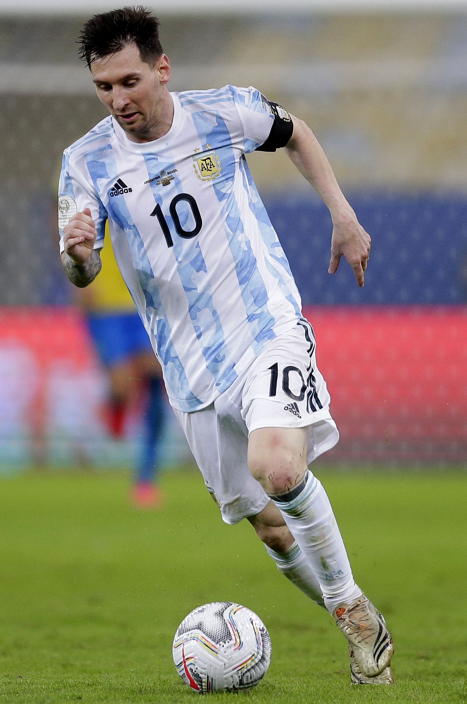 科尔利不仅 科尔利不仅